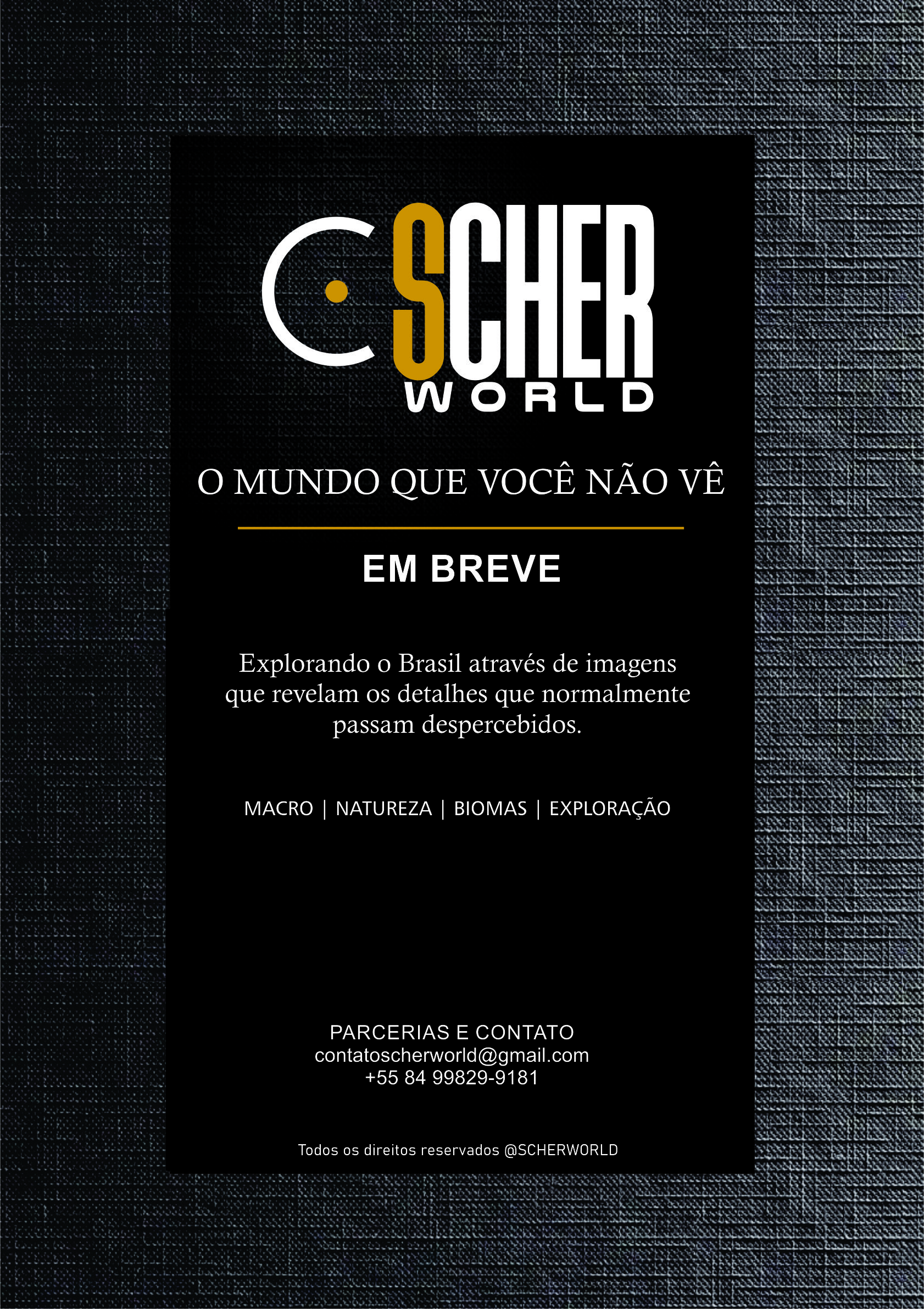 Scher World
